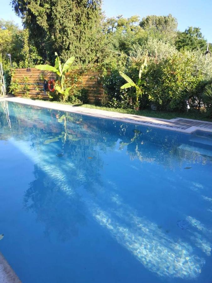 Villa Paradiso Del Garda Vista-Verde Бардолино Екстериор снимка